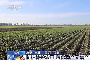 风向标！欧文本赛季得分25+时 独行侠战绩17胜8负