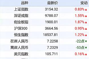 开云手机app下载安装免费版